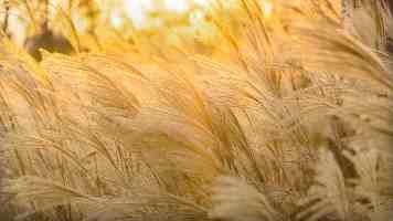 汽车工程师英语进阶：3000高频词汇速查与实战指南