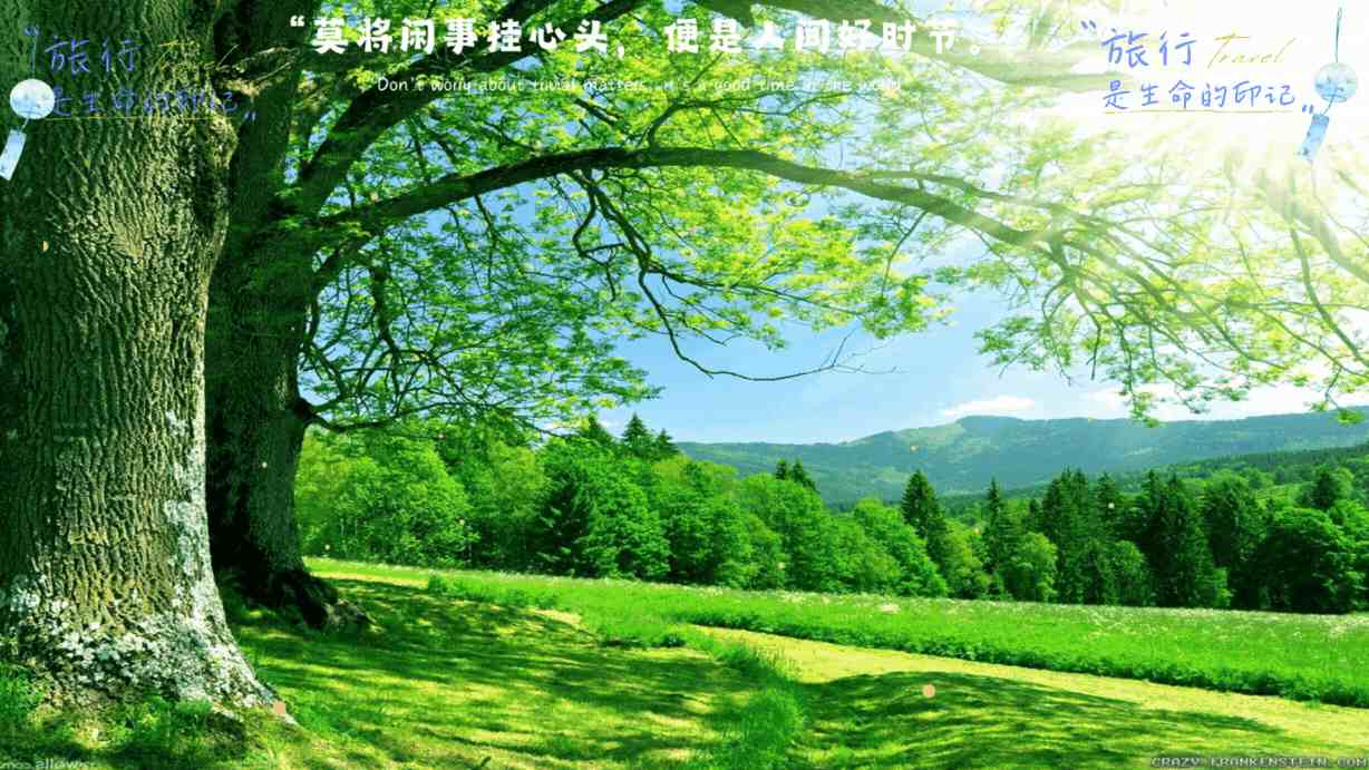 神经网络算法详解：原理、实践与避坑指南