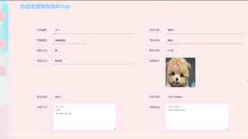Web 安全攻防实战：从零开始掌握网络抓包与渗透测试基础