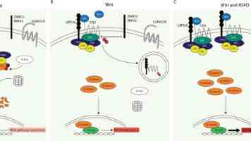 深挖 Linux 文件系统：C 语言如何玩转打开文件管理