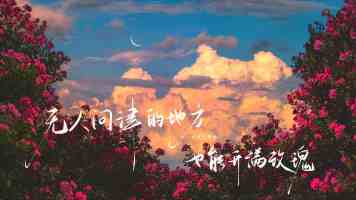 决胜 CNSP 2025：网络信号处理技术进阶与实战指南