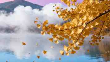 若依(RuoYi)项目私有化：Gitee 仓库搭建全流程与避坑指南