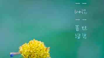 MySQL 数据关联的艺术：内外连接的原理与实践