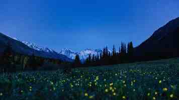 C 语言指针高级用法：深度剖析与实战技巧