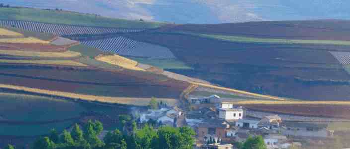 Kubernetes Pod 调度疑难杂症：原因分析与解决实战